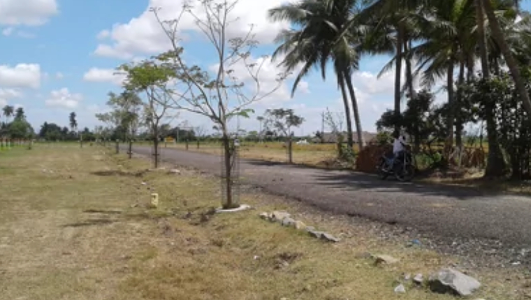 DTCP Approved Plots for sale in chengalpattu