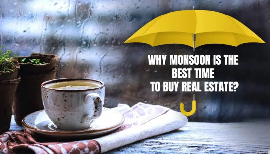 Why Is Monsoon the Best Time to Invest